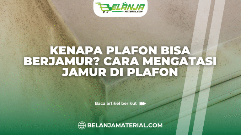 belanjamaterial_Kenapa Plafon Bisa Berjamur Cara Mengatasi Jamur di Plafon