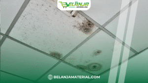 belanjamaterial_Kenapa Plafon Bisa Berjamur Cara Mengatasi Jamur di Plafon