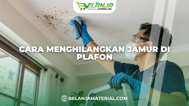 Cara Menghilangkan Jamur di Plafon